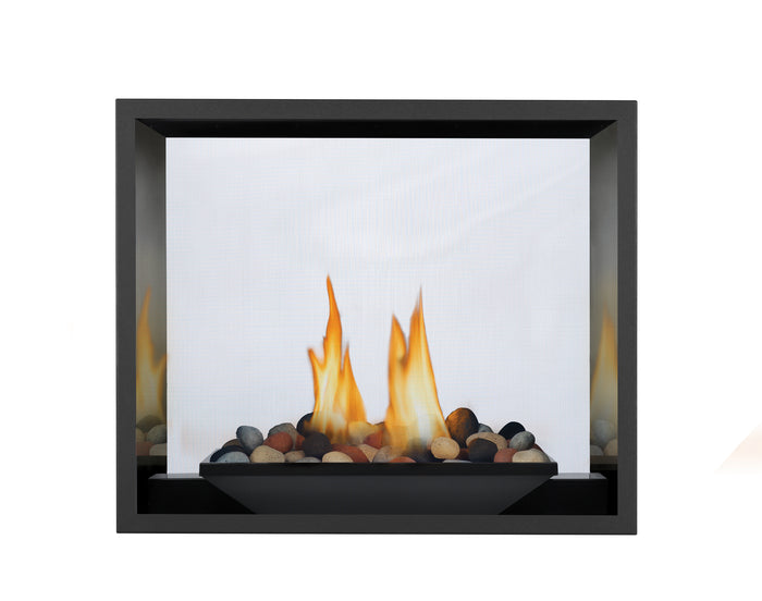 Napoleon fireplace configuration detail; optional accessories may be shown.