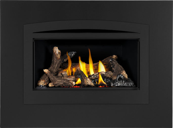 Napoleon Rosedale™ 2 Gas Insert — product and configuration view