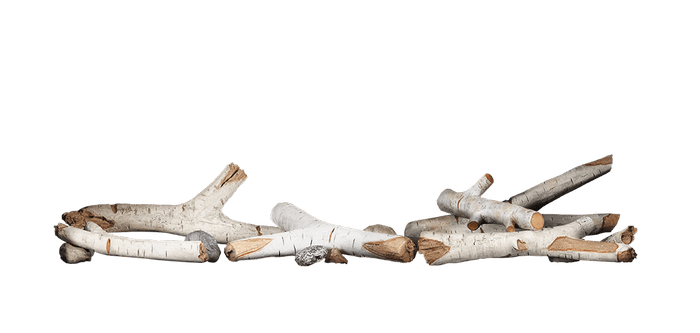 Napoleon BLKS Standard Birch Log Kit - Small