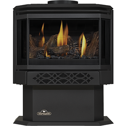 Napoleon Door - Metallic Black for Haliburton GS328K-1