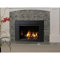 IronStrike Madison Park 32 Gas Fireplace Insert MPI32 — Contemporary