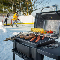 Broil King Porta-Chef 120 Gas Grill BK950654