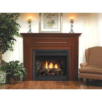 Empire 42" Van Buren Premium B-Vent Fireplace BVD42FP