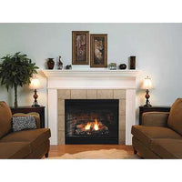 Empire 42" Van Buren Premium B-Vent Fireplace BVD42FP