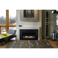 Empire Hearth 36" Loft Contemporary Direct Vent Linear Fireplace DVL36BP