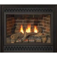 Empire Hearth 36" Tahoe Luxury Direct Vent Traditional Fireplace DVX36FP