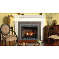 Empire Hearth 42" Tahoe Deluxe Direct Vent Zero Clearance Traditional Fireplace DVD42FP