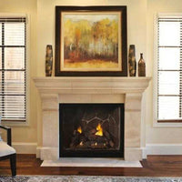 Empire Hearth 42" Tahoe Luxury Clean Face Direct Vent Traditional Fireplace DVCX42FP