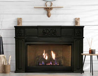 Empire Hearth Innsbrook Large Direct Vent Insert DVC28IN