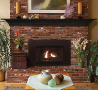 Empire Hearth Innsbrook Large Direct Vent Insert DVC28IN