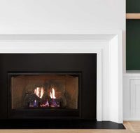 Empire Hearth Innsbrook Medium Direct Vent Insert DVC26IN