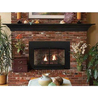 Empire Hearth Innsbrook Medium Direct Vent Insert DVC26IN