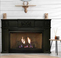 Empire Hearth Innsbrook Small Direct Vent Insert DVC20IN