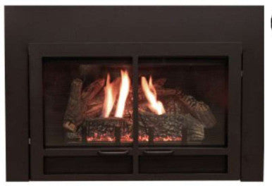 Empire Hearth Small Black Transom Decorative Doors (non-operable) DFD20DBL