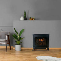 Empire Hearth Spirit Small Vent Free Steel Stove VFD20MS