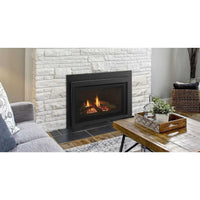Majestic Products 30" Jasper Direct Vent Natural Gas Insert JASPER30IN