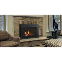 Majestic Products 30" Jasper Direct Vent Natural Gas Insert JASPER30IN