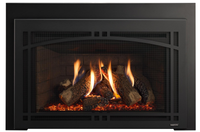Majestic Products 30" Ruby Platinum Direct Vent Gas Insert RUBYP30I
