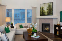 Napoleon 36" Altitude Direct Vent Gas Fireplace A36