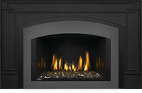 Napoleon Oakville 3 Glass Gas Fireplace Insert GDIG3N-1