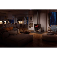 Osburn Inspire 2000 Wood Stove OB02042