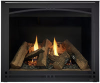 Majestic Products Meridian 42" Top/Rear Direct Vent Traditional Fireplace MER42