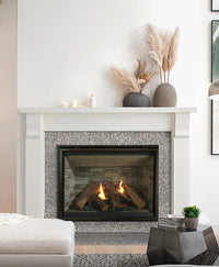 Majestic Products 42" Meridian Platinum Direct Vent Gas Fireplace MER42P