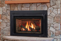 Majestic Products 25" Trilliant Direct Vent Gas Insert TRILLIANT25I