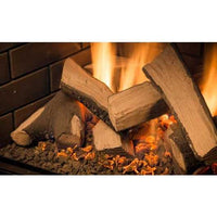 Sierra Flame Abbot 30" Direct Vent Gas Insert ABBOT-30