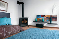 Napoleon Knightsbridge™ Direct Vent Stove — product and configuration view