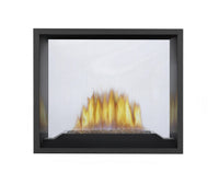Napoleon High Definition 81 Direct Vent Fireplace — product and configuration view