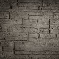 Napoleon Decorative Panels - Antique Ledgestone for Elevation™ X 36 DBPEX36LS