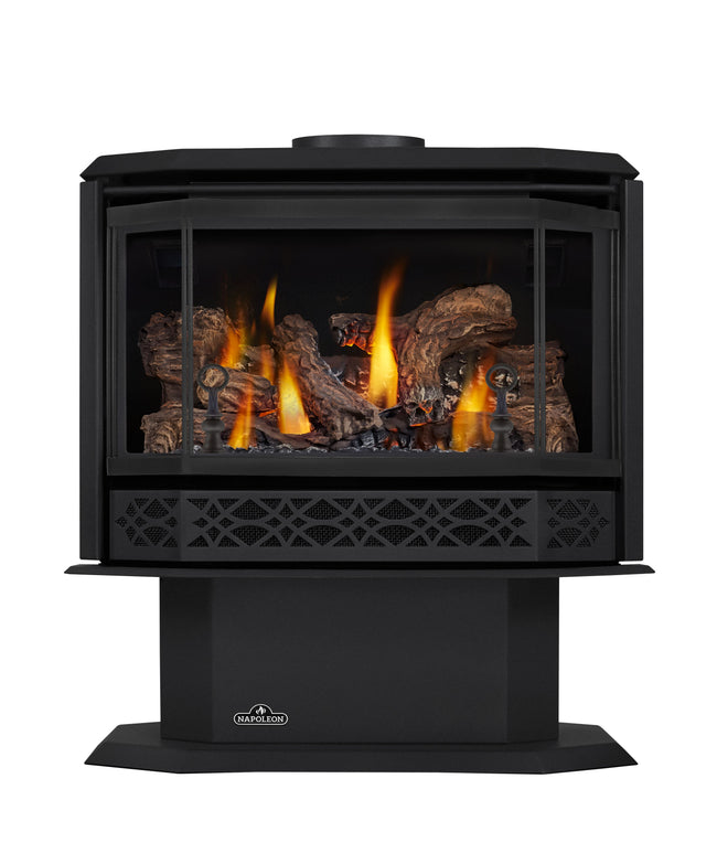 Napoleon Havelock™ Direct Vent Stove