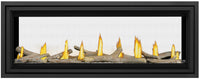 Napoleon Vector™ 50 See Through Direct Vent Fireplace — product and configuration view