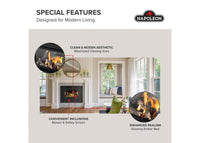 Napoleon Rosedale™ 2 Gas Insert — product and configuration view