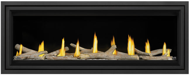 Napoleon Vector™ 50 Direct Vent Fireplace