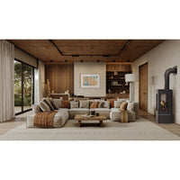 Napoleon Elora™ Direct Vent Stove — installed room view