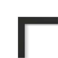 Napoleon Finishing Trim - 2" Black, 4-Sided for Altitude™ 36 FTAX36BK