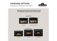 Napoleon Rosedale™ 2 Gas Insert — product and configuration view