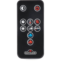 Napoleon CLEARion™ Elite 50 Built-in Electric Fireplace — product and configuration view