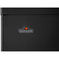 Napoleon Elora™ Direct Vent Stove — product and configuration view