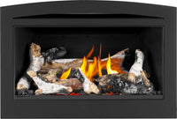 Napoleon Rosedale™ 2 Gas Insert — product and configuration view