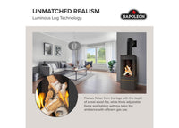 Napoleon Elora™ Direct Vent Stove — product and configuration view