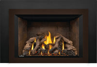 Napoleon Oakville™ X4 Gas Fireplace Insert — product and configuration view