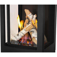Napoleon Elora™ Direct Vent Stove — product and configuration view