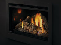 Napoleon Rosedale™ 3 Gas Insert — product and configuration view