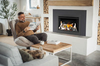 Napoleon Rosedale™ 2 Gas Insert — product and configuration view