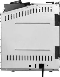 Napoleon Rosedale™ 2 Gas Insert — product and configuration view