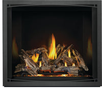 Napoleon Elevation™ X 42 Direct Vent Fireplace — product and configuration view
