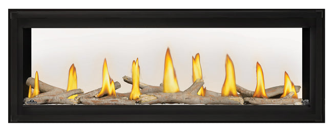 Napoleon Luxuria™ 50 See Through Direct Vent Fireplace